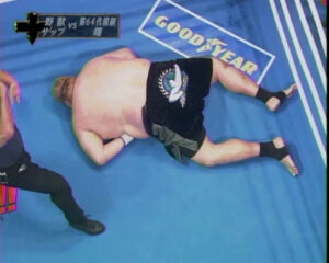 royce gracie vs akebono